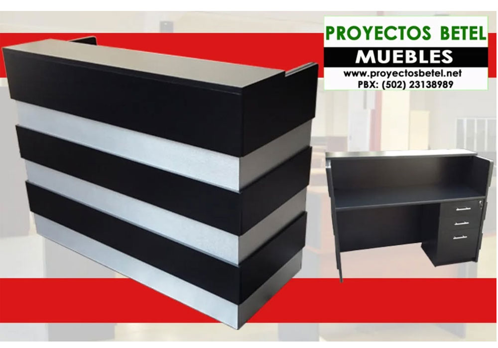 Muebles de recepción modernos